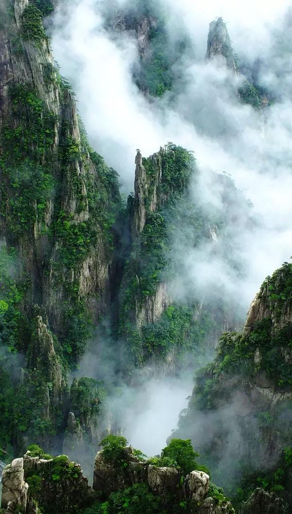 黃山又一次震驚全國！恍如人間仙境，美到極致！