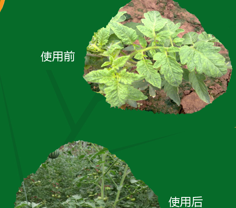 氯氟聯(lián)苯吡菌胺如何實現(xiàn)我國首家登記？