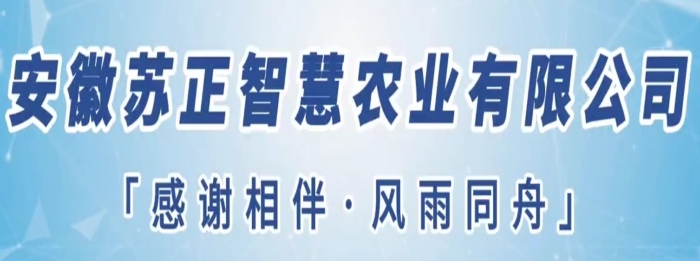 守望初心勇?lián)?dāng)，篤定前行綻芳華